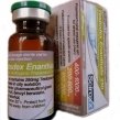 testodex-enanthate-250-2894
