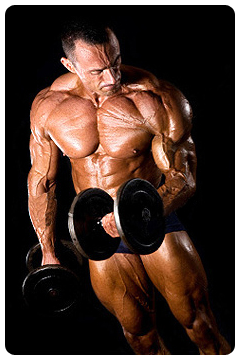 Anabolic steroids effect on muscle fiber composition