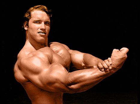 arnold schwarzenegger workout routine. Arnold Schwarzenegger Workout Routine | GoldenMuscles.