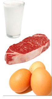 About Protein & Amino Acids
