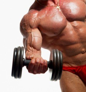 “No-Nonsense Muscle Building Info”: That’s what you really need