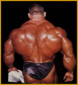 Dorian Yates – Delts