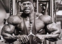Steroid Scandal: Tony Freeman, Quincy Taylor, Dennis Newman, and Troy Zuccolotto involved?