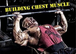 Chest Workout